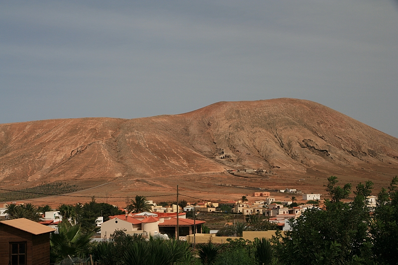 Kanary_2010 181